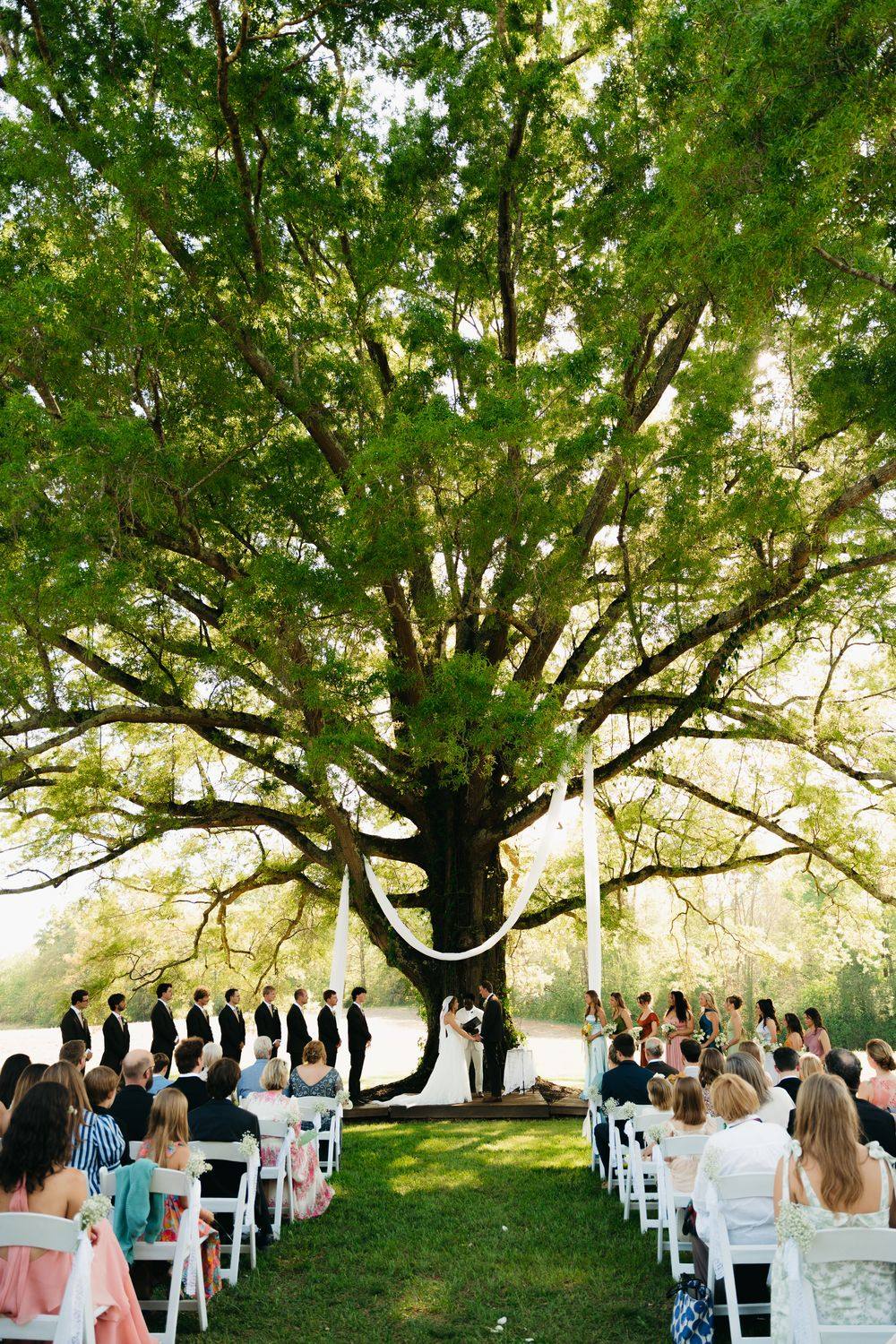 The ceremony beneath a towering oak tree, guests seated below